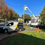 Power Poles Insights for Melbourne Property Owners