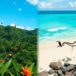 Eco-Adventures in Belize and Costa Rica’s Natural Wonders