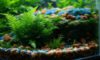 Aquascaping Basics for Beginners: Your Essential Guide