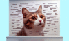 Cat Meme Guide for Gaining Feline Internet Fame
