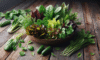Fresh Summer Salad: A Vibrant Guide to Seasonal Delights