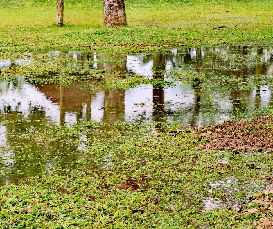Stormwater Drain Solutions in Wollongong: Key Causes Explained
