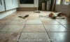 Grout Cleaning Services Offered in Battersea Now