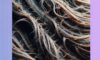 Effective Strategies for Reversing Heat Damage