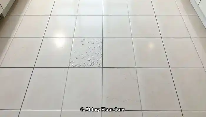 Grout Sealing Solutions for Long-Lasting Protection