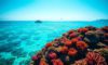 Belize Travel Guide: Essential Location Information for Visitors