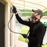 Roof Dusting Pest Control: Understanding Its Rarity